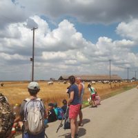 csodaszarvas-tanoda-kardoskut-kirandulas-2021-003
