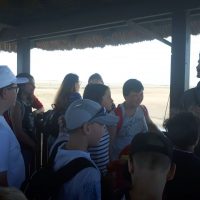 csodaszarvas-tanoda-kardoskut-kirandulas-2021-004