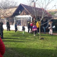 ismerkedes-gyomaendrodi-tanodaspkkal-csodaszarvas-04