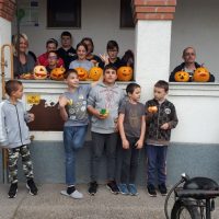 tokfaragas-csodaszarvas-07