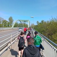 gyomaendrod–csillagtura-2023–002