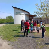 gyomaendrod–csillagtura-2023–003