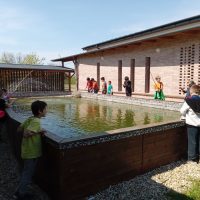 gyomaendrod–csillagtura-2023–004