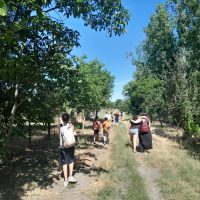 csodaszarvas-hajokirandulas-turak–nyar-2025–001