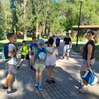 csodaszarvas-hajokirandulas-turak–nyar-2025–003