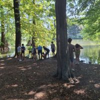 csodaszarvas-hajokirandulas-turak–nyar-2025–006