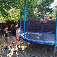 csodaszarvas-tulipanos-2025–002