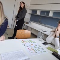 Szakmai műhelyek, programok 2026 tavaszán