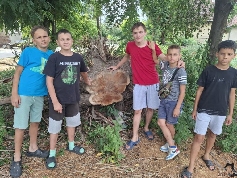 Ökotábor – tematikus hét 2026. nyár- 005