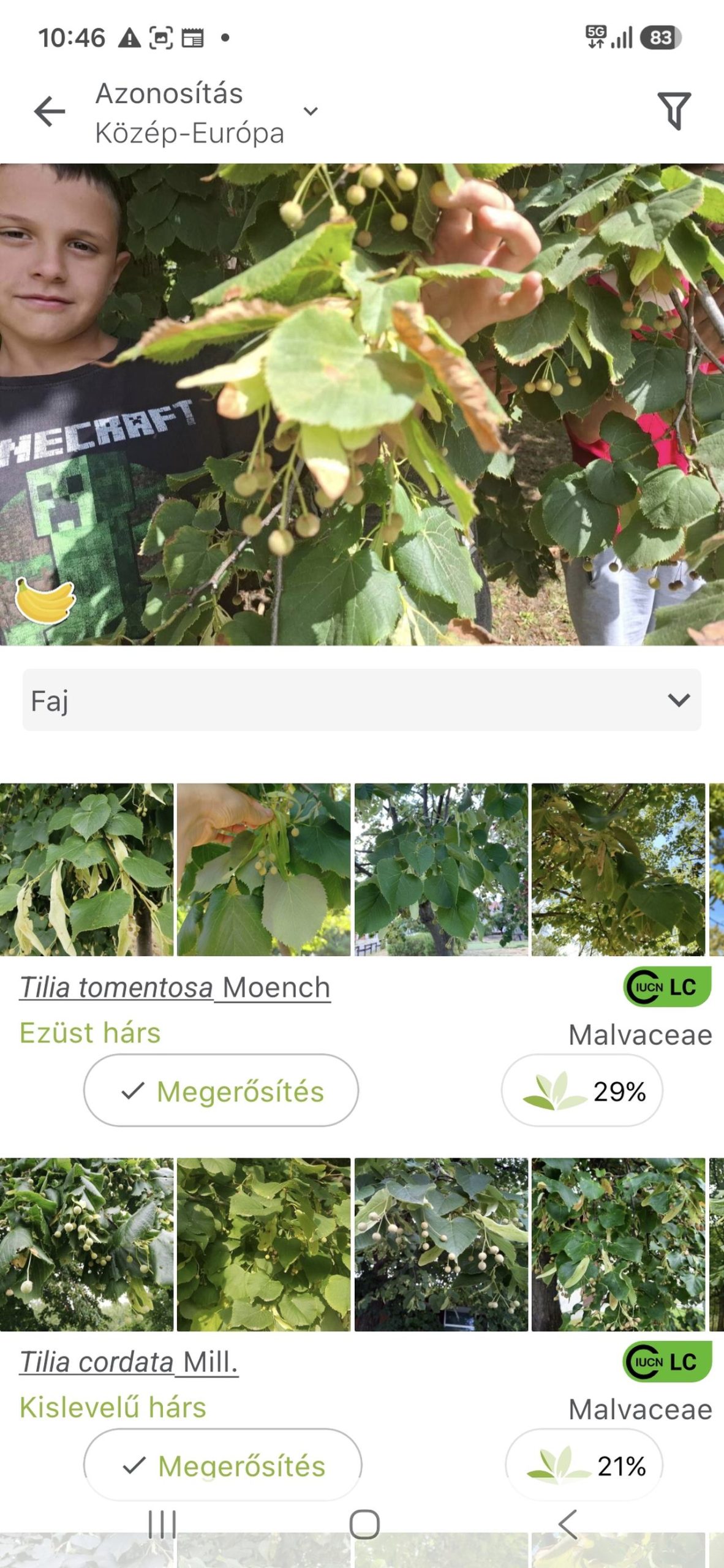 Ökotábor – tematikus hét 2026. nyár- 006